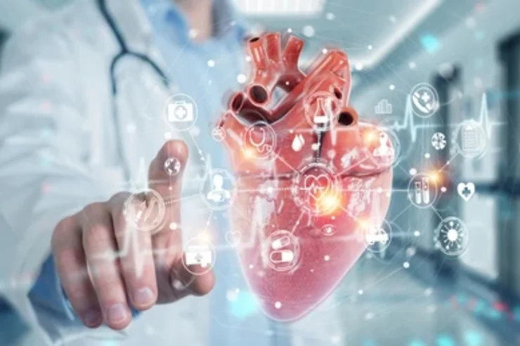 Cardiologist